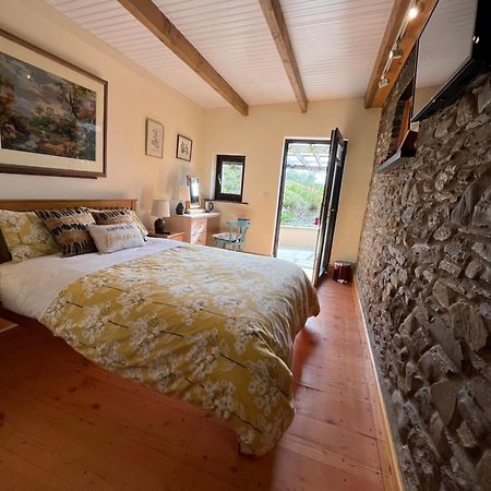 Llanwnen Neuadd Villa المظهر الخارجي الصورة